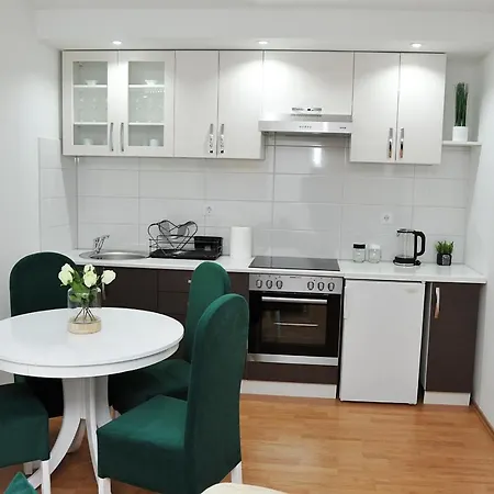 公寓 Lizdek 帕莱